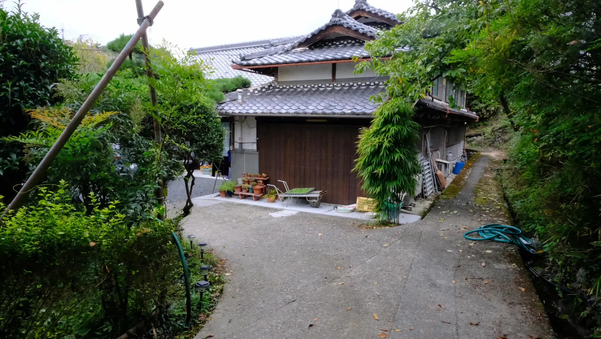 ひらたほーふの写真
